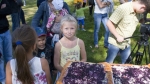 В Красновишерске пройдет «Праздник черники и черничного пирога»
