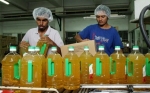 На 22% вырос импорт пальмового масла в Россию