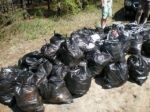 В Пермском крае волонтеры очистили туристические площадки от бытового мусора