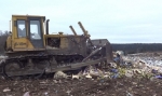 В Пермском крае уничтожено более 2 тонн санкционных фруктов и овощей