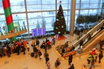 Самые дорогие авиабилеты на Новый год обошлись россиянам в 1 млн рублей
