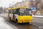 В Березниках пассажирский автобус сбил насмерть пешехода