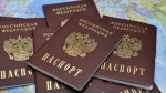 Паспорта в России могут отменить через 15–20 лет 