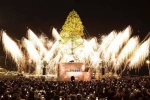 В Японии установили самую высокую рождественскую ель в мире