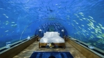 На Мальдивах туристы могут поспать с рыбами за 50 тысяч 