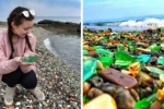 Туристы из Китая разворовывают на сувениры стеклянные камни на пляже Владивостока