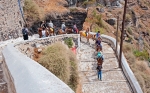 В Греции запрещено толстым туристам кататься на ослах
