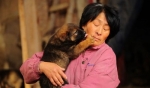 Китайцы массово скупают на Дальнем Востоке кошек и собак