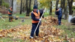 В Березниках сразу в восьми УК разом уволились дворники
