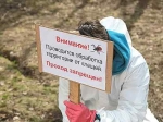 С начала эпидсезона в Березниках зарегистрировано около 200 случаев присасывания клещей