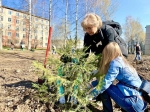 В Березниках пройдут Дни защиты от экологической опасности