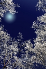 �� ������ � �������� ��������� ����������� �� -28 �������� 