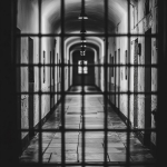 � ����� ��������� ���� �� ���������� � ��������������� ����������