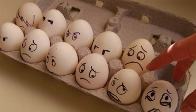 Оптовым поставщикам яиц ответили антимонопольным делом