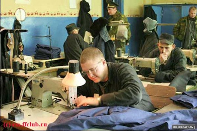 Осужденные в колониях Прикамья заработали около 2 млрд руб.