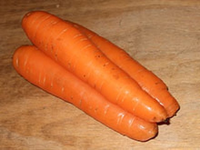 ������� ����� ������� ���� �������������� �������������� 