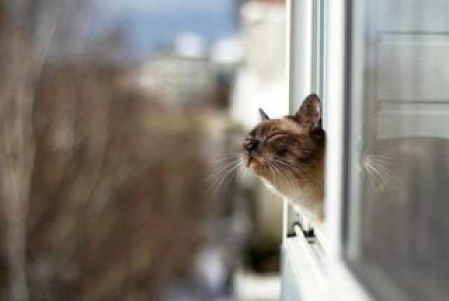 В Прикамье два дня будут идти сильные осадки 