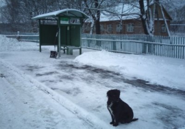 В Зырянке временно перенесли автобусную остановку