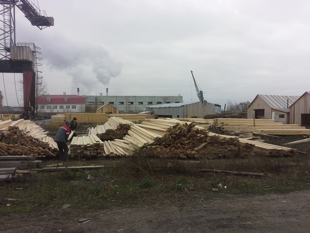 Житель Прикамья пытался незаконно сбыть крупную партию пиломатериала в Узбекистан