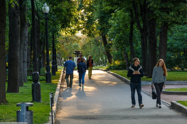 В Прикамье к пятнице похолодает до +10°