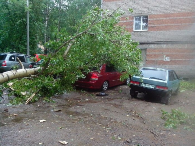 В Прикамье из-за сильного ветра без света остались 33 населенных пункта 