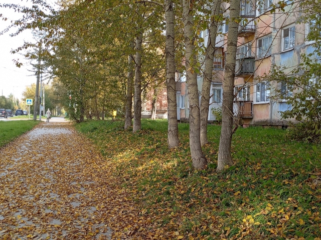 Зфиксировано самое сильное за 122 года ночное сентябрьское похолодание