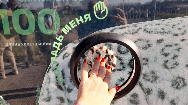      . -