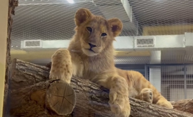 � ������� ������ �� ��������� �������� �������� ���� �������� ������ 