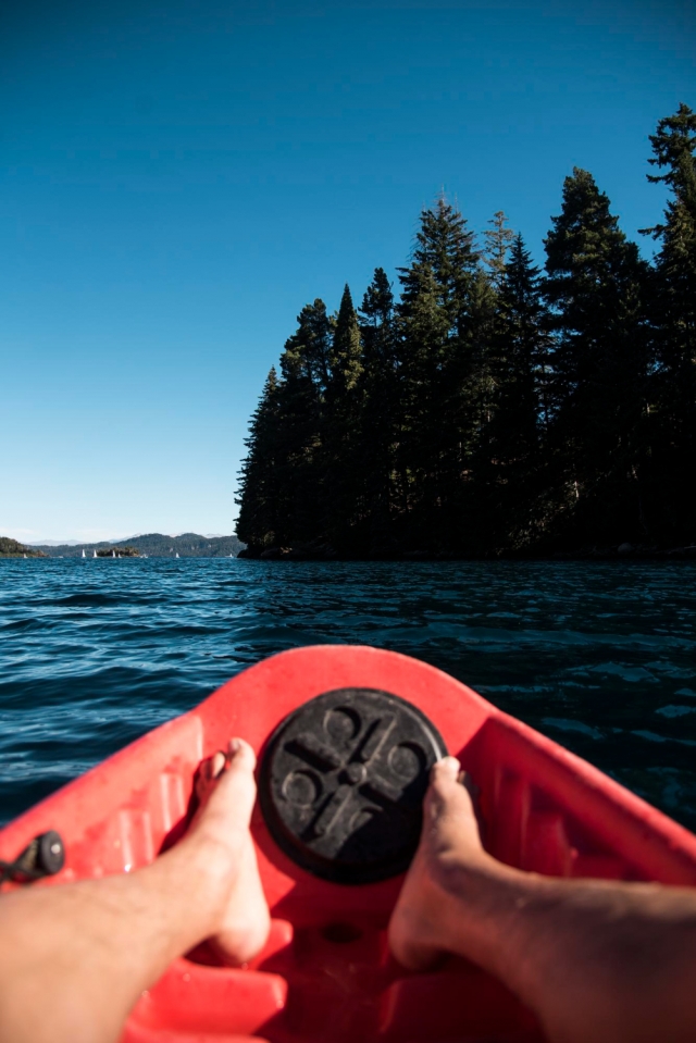 �������� � �������� ���� �� ��� ���� ���������� �� 20% 