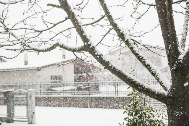 ������� � �������� ����� ������� � ������� � ������������� �����