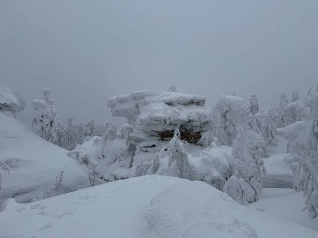 ����� � �������� ���� ����� � ������� � ����� ������� ������������� �����������