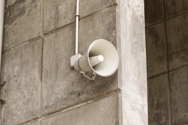 � �������� ������� ������� ����� �������� ������