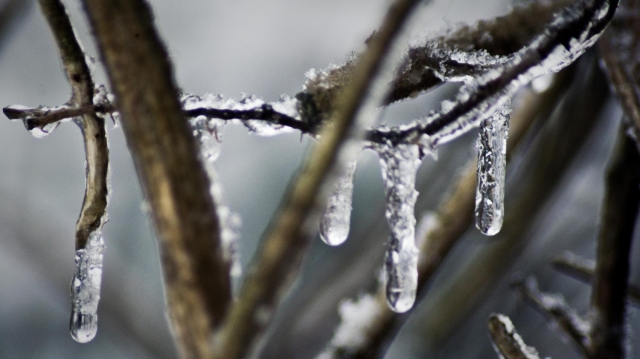 � �������� �� ����� ����������� ������ ���� ������ �������� �� +9 ��������