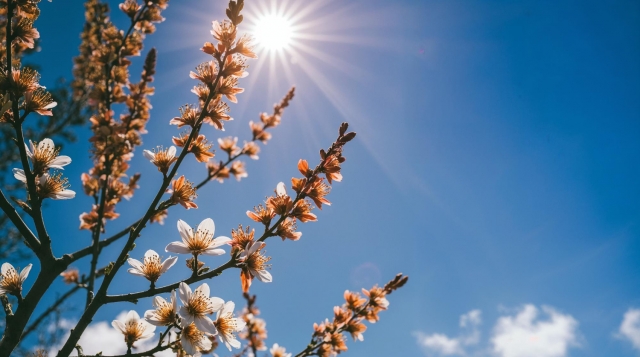 � �������� �� ���� ������ ��������� ����� � ����� ������ 