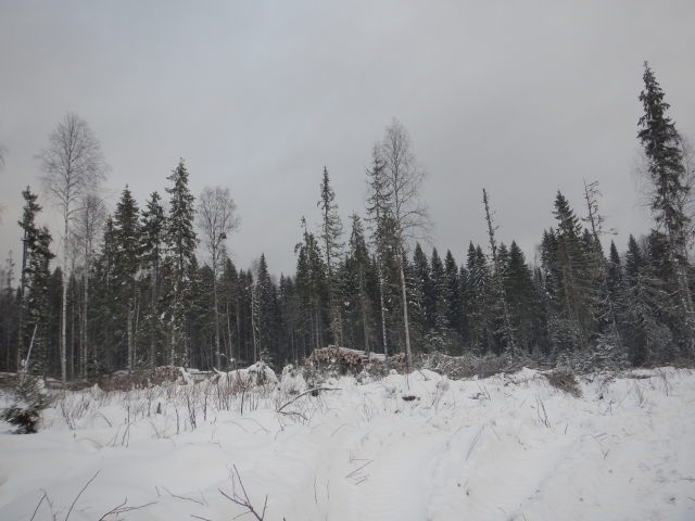 �� ���������� ������� �������� ������ ���������� ������������������� ����� 