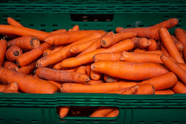 � �������� ���� ������� ������ ������ ������� �� ��������