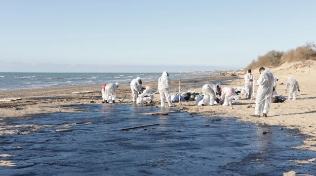 �������� ����������� �������� 50 ���� ������ �� ������ ������ � ���������� �������