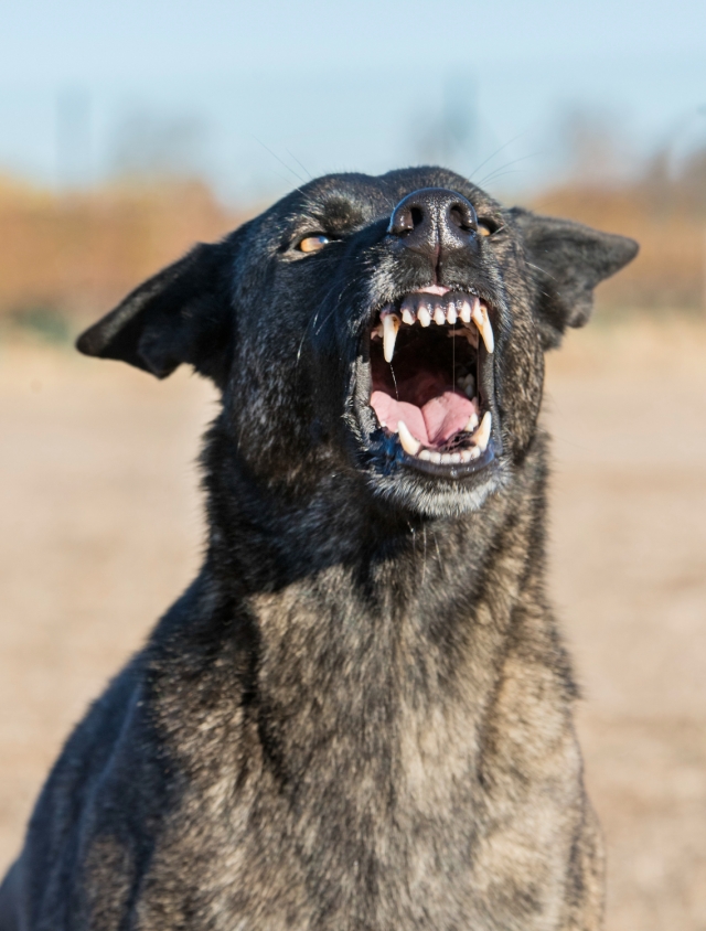 ����� �������� ����������� ��������� ���� ����� �� ������ � �������� ���� 