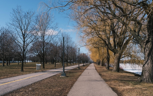 �������� � �������� �������� �������� ����������