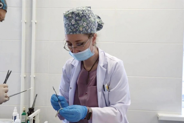 �������� ������ ��������� �� ������������ � ������������ 