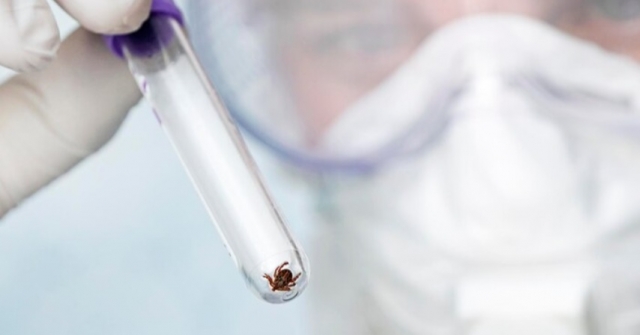 � �������� ����� ������������ �� ������ ������ ������� �� 125 ������� 