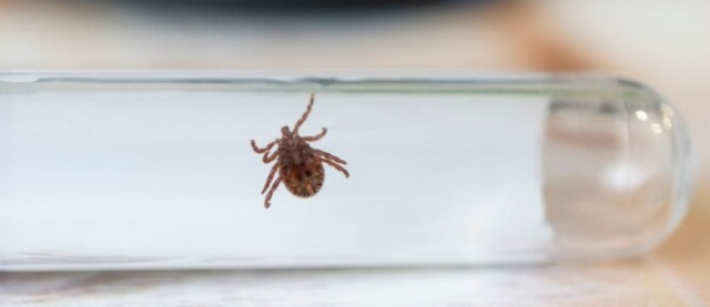 � �������� �� ������ ������ ���������� 270 �������