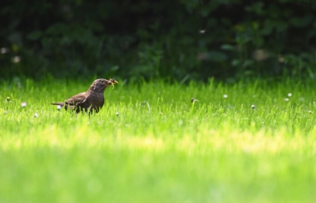 � �������� ���� ����������� ���������� �������������� ������������, �������� � ������� �������