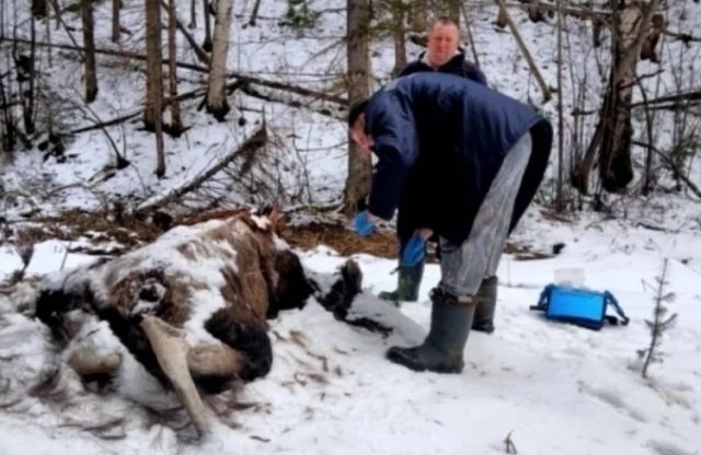 � ���� ��������� ���� ���������� ���� �������� ����� � ������