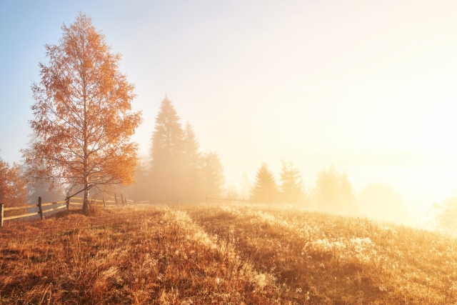 � ������ ��������� ������ � �������� ��������� �� +24�C